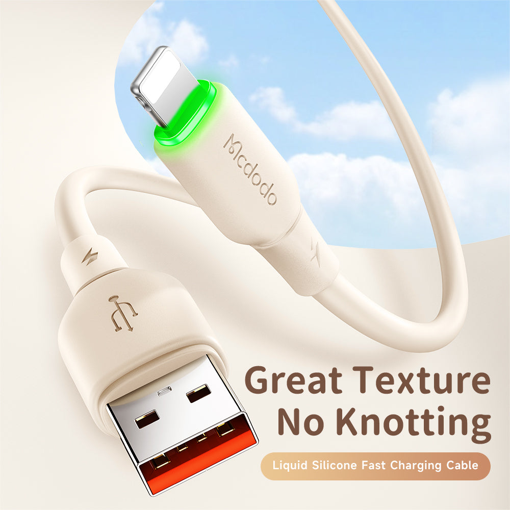 iPhone USB to Lightning Cable