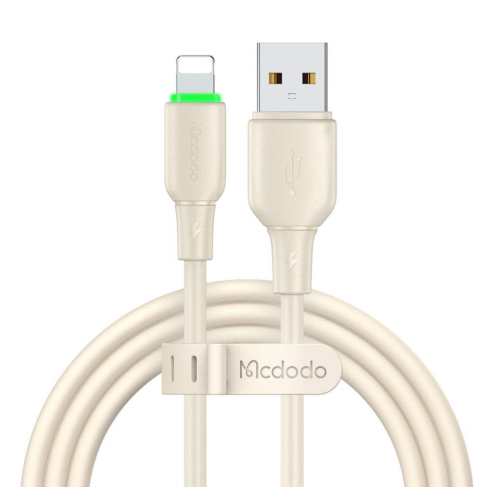 iPhone USB to Lightning Cable