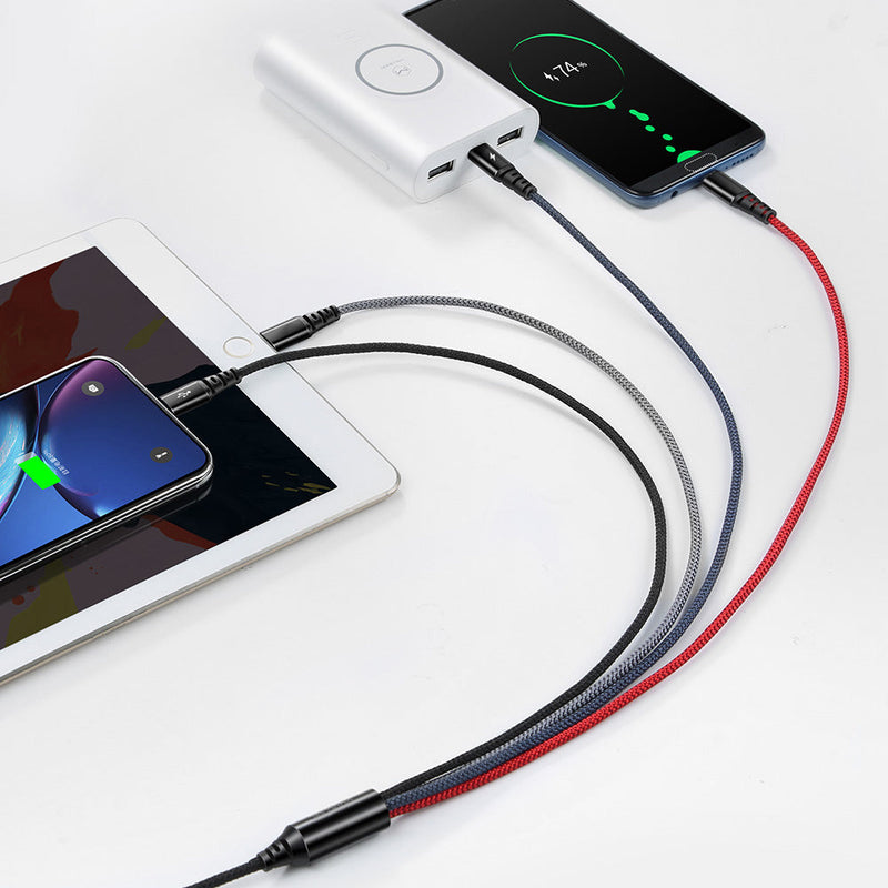 4 in 1 Lightning*2+Micro USB+Type-C Cable