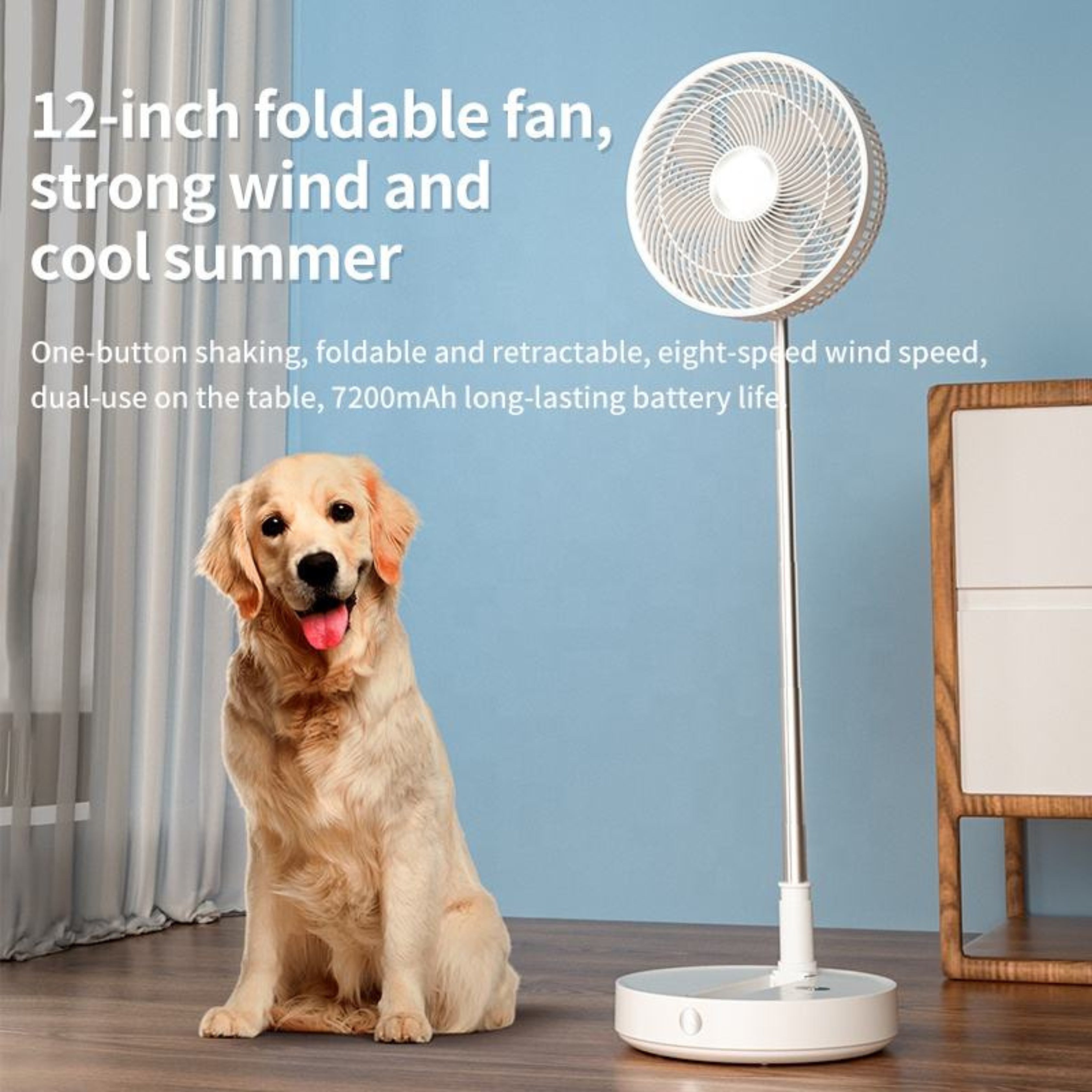 Rechargeable 12-Inch Portable Folding Fan with Remote Control and 10800mAh Battery