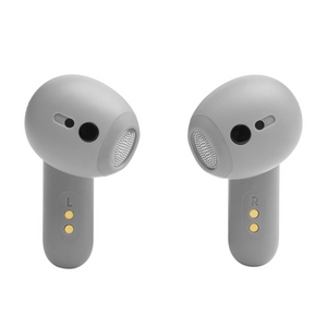 JBL Live Flex Earbuds