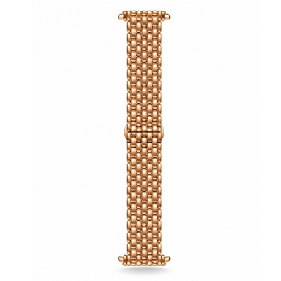 Stainless Steel Apple Watch Strap