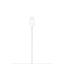 MagSafe Charger (1 m)