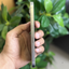 iPhone 15 Pro Max PTA Approved (Used)