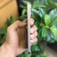 iPhone 15 Pro Max PTA Approved (Used)
