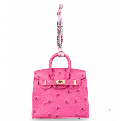 Luxury Handbag Charm Keycha
