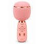 WSTER WS-1885 Wireless Karaoke Voice Changing Microphone Speaker