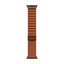 Apple Watch Ultra 3