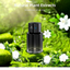 Smart Car Fragrance Diffuser