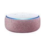 Alexa Echo Dot 4