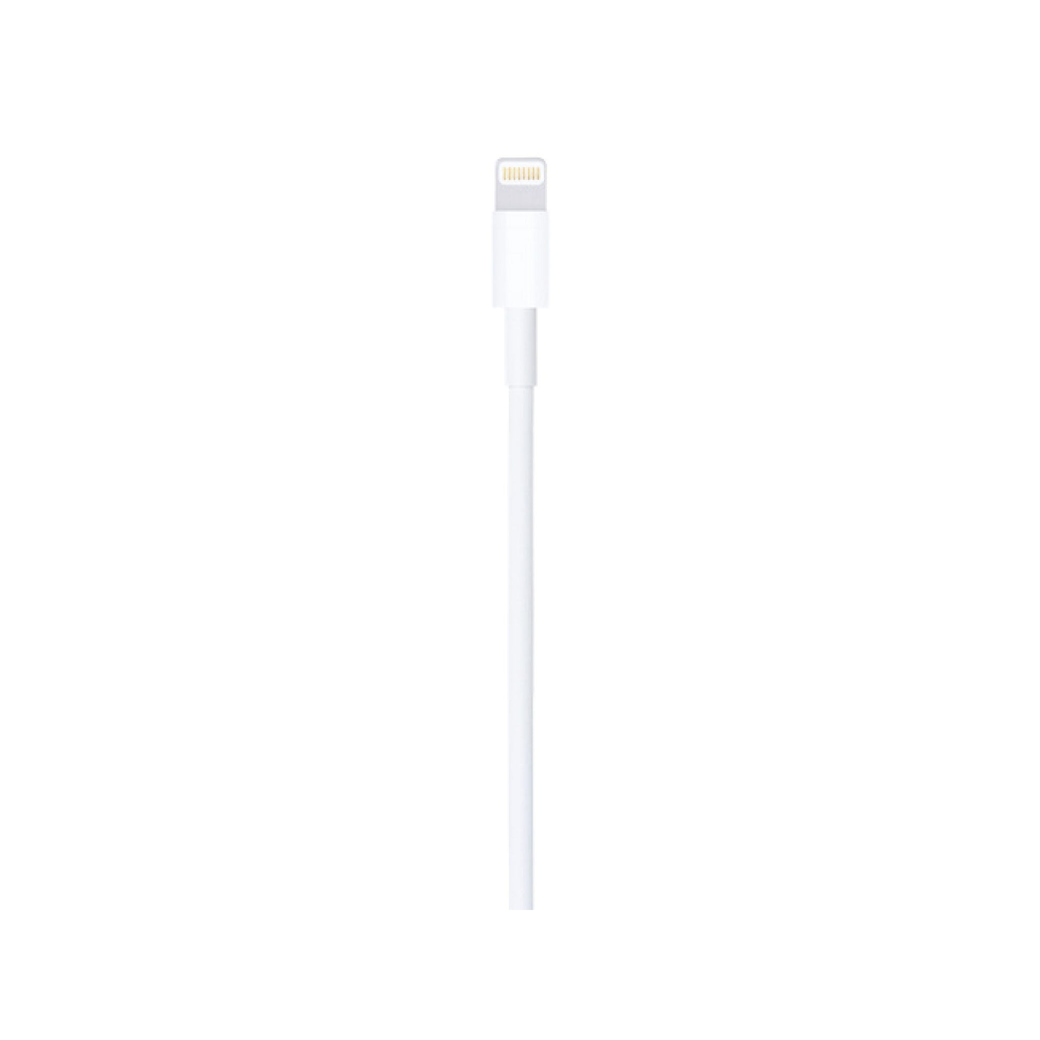 Apple USB To Lightening Cable