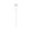 Apple USB To Lightening Cable
