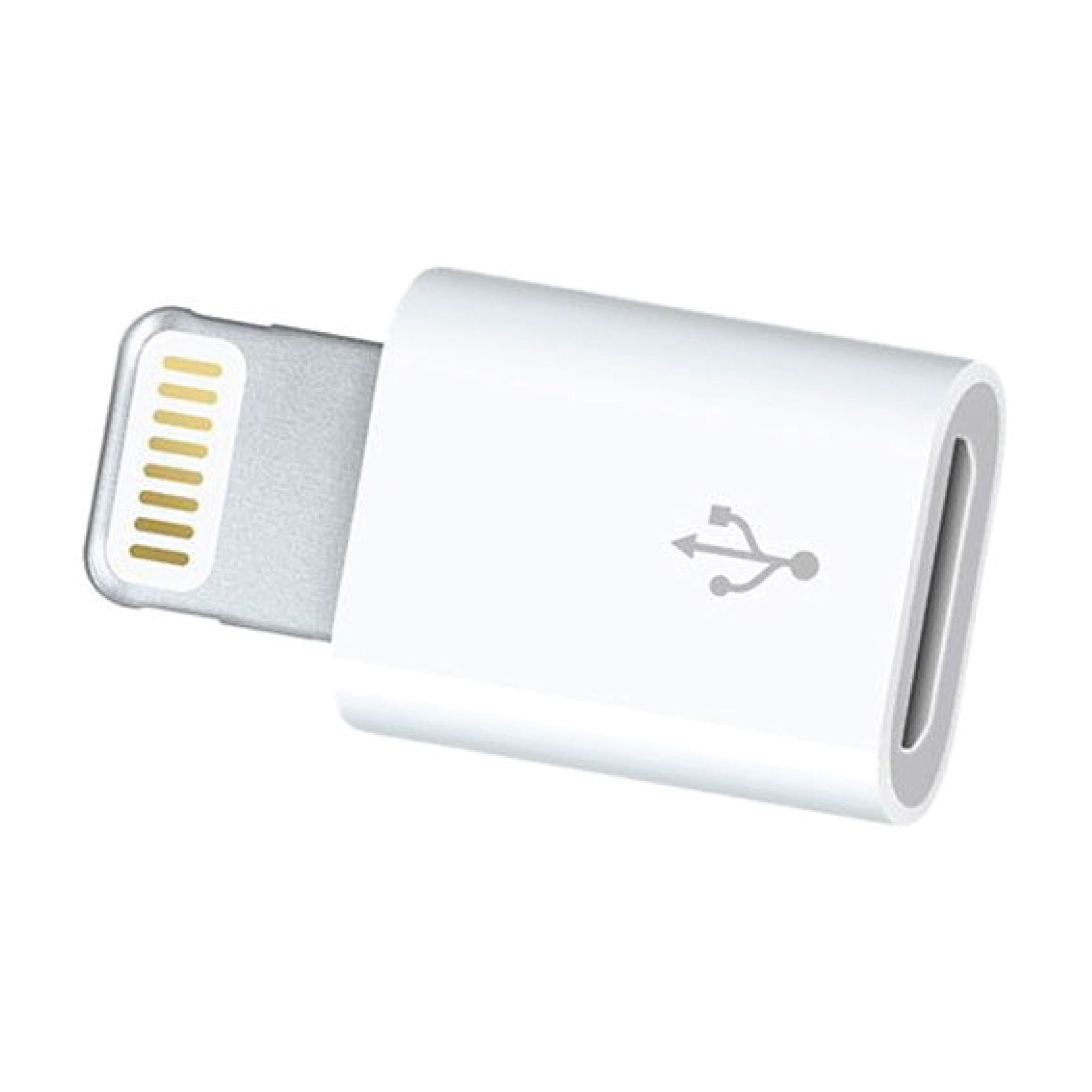 Lightning to Micro USB Adapter