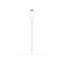 iPhone MagSafe Charger 